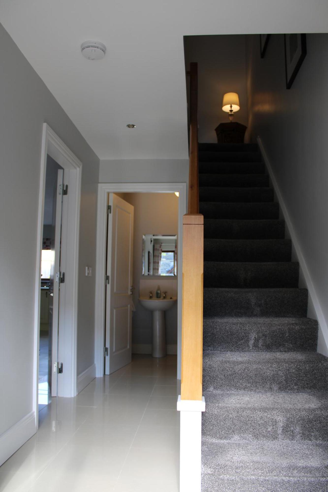 Cosy Holidayhomes Kerry Kenmare Extérieur photo