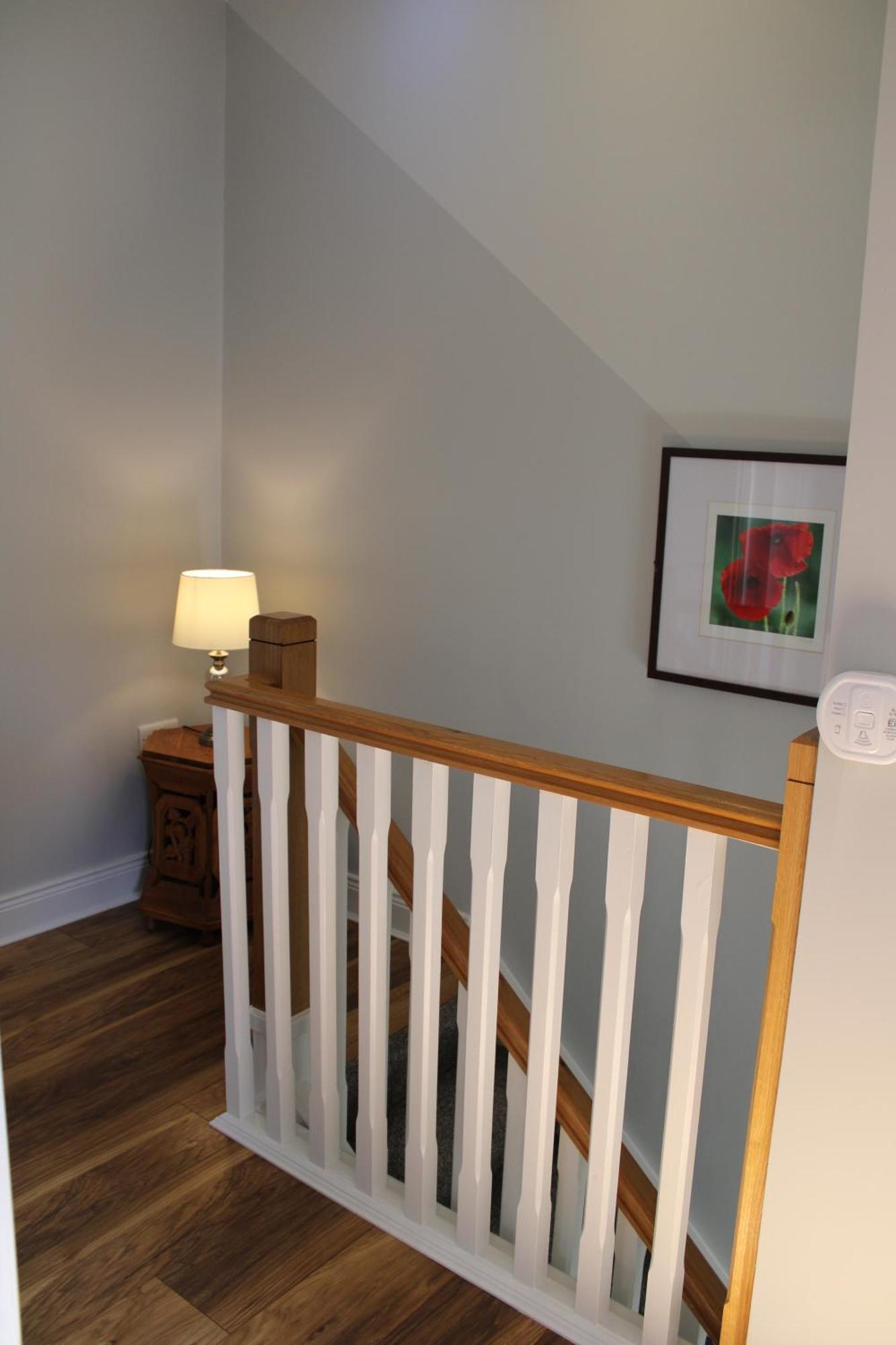 Cosy Holidayhomes Kerry Kenmare Extérieur photo